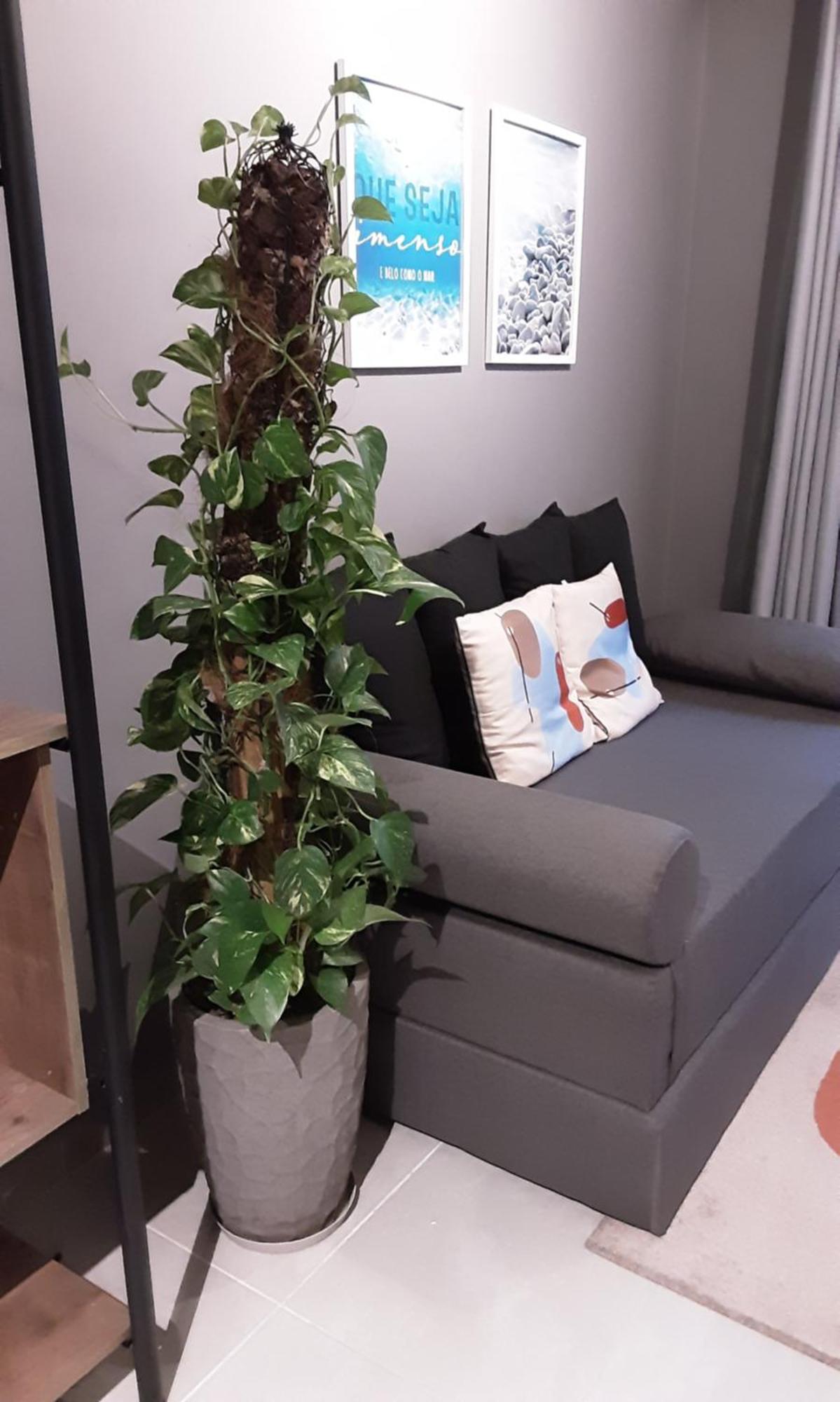 Varanda Mar - Estudio Em Santos Na Quadra Da Praia Exteriör bild